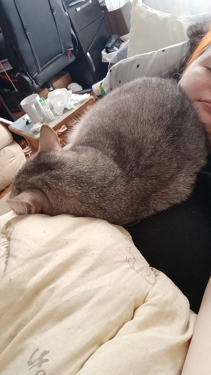 Синяя лисовредьма tweet media