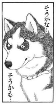 からすみ tweet media