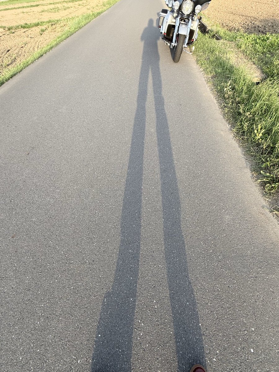 コング ボブ tweet media