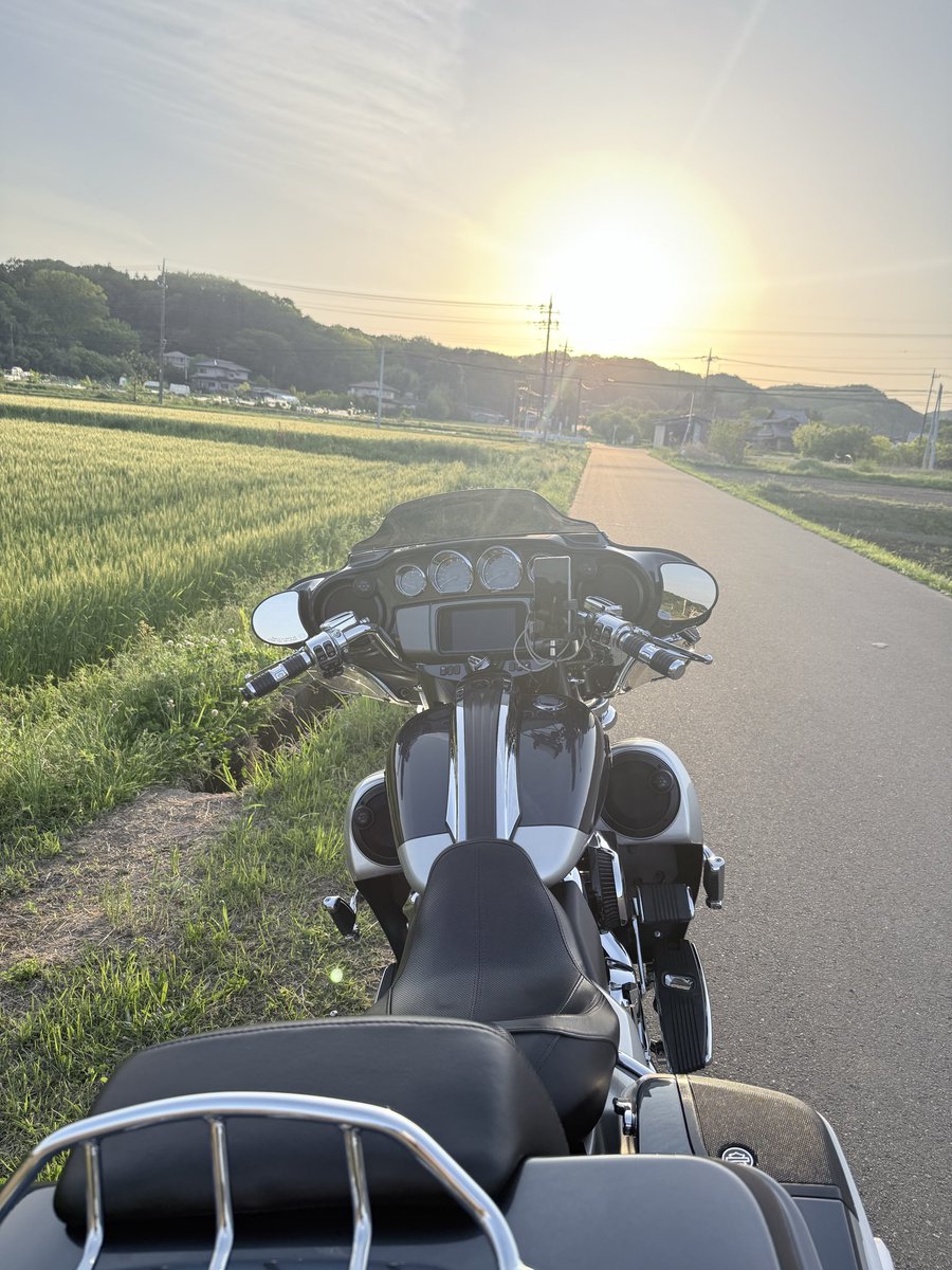 コング ボブ tweet media