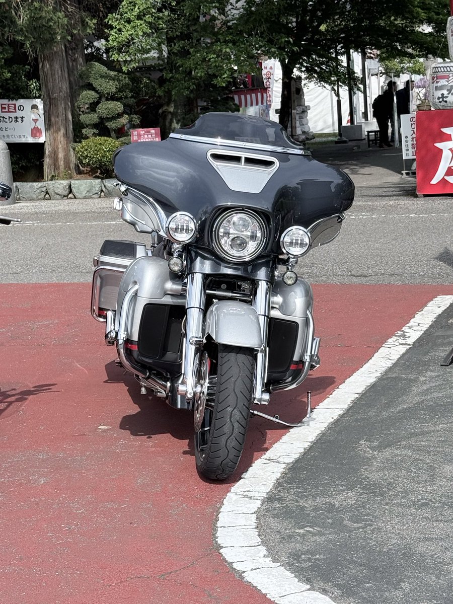 コング ボブ tweet media