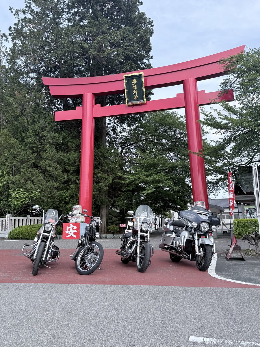 コング ボブ tweet media