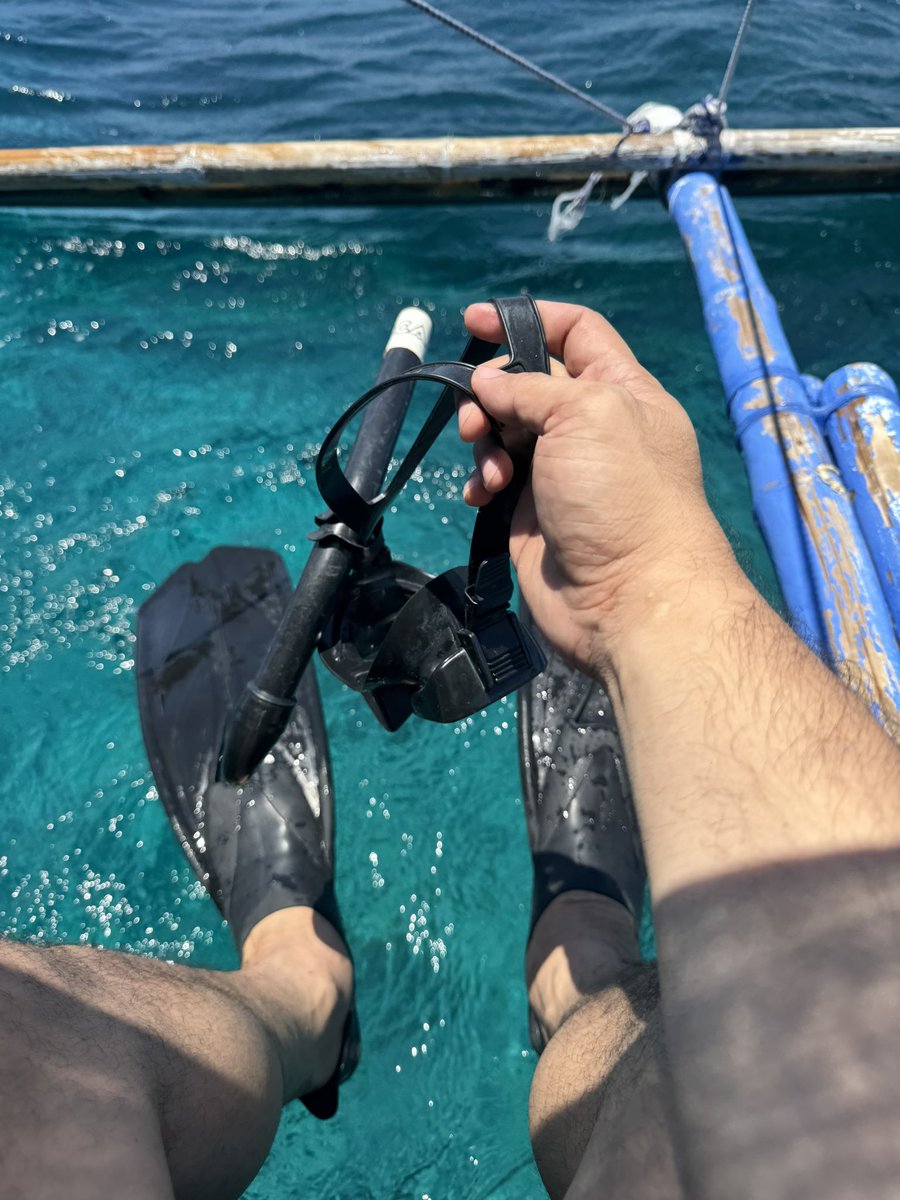 MountMayen's tweet photo. Weekend dive https://t.co/WBcrSBDnmU