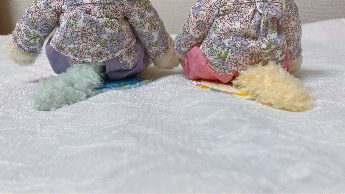 にこ🌸💻 tweet media