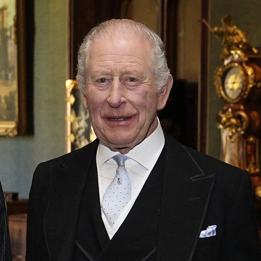 Ziberial tweet media