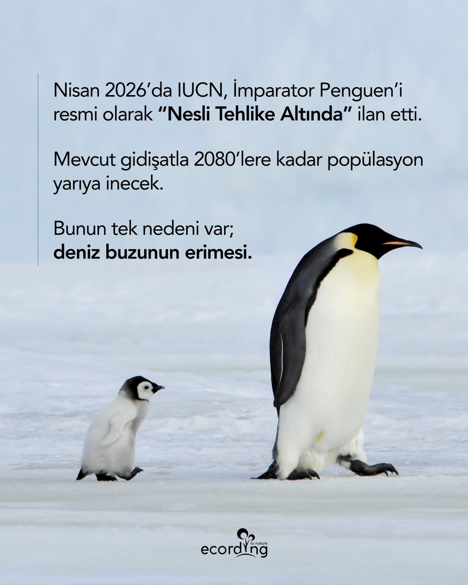 ecording | B Corp™ tweet media