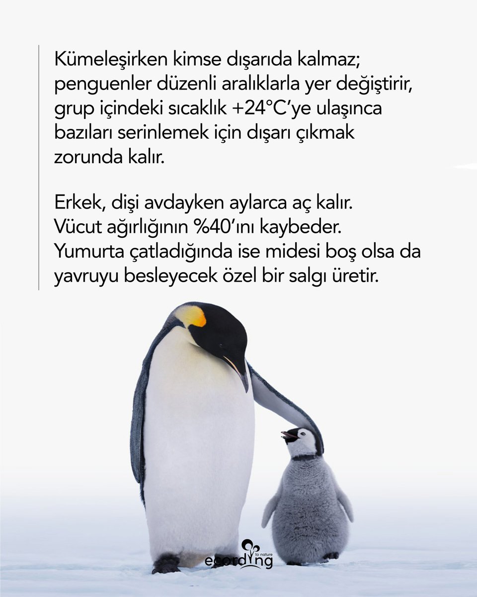 ecording | B Corp™ tweet media