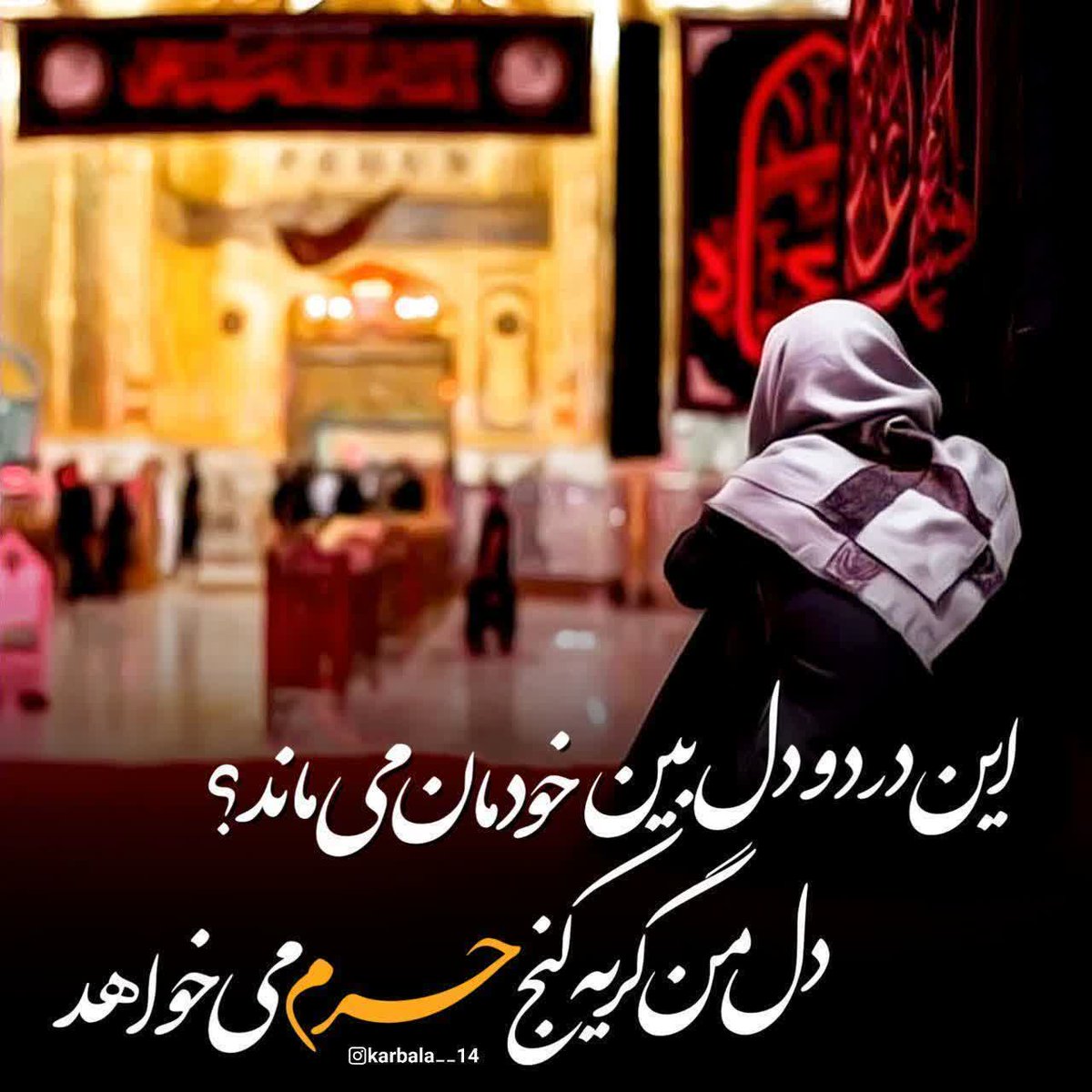 سحر رضایی tweet media