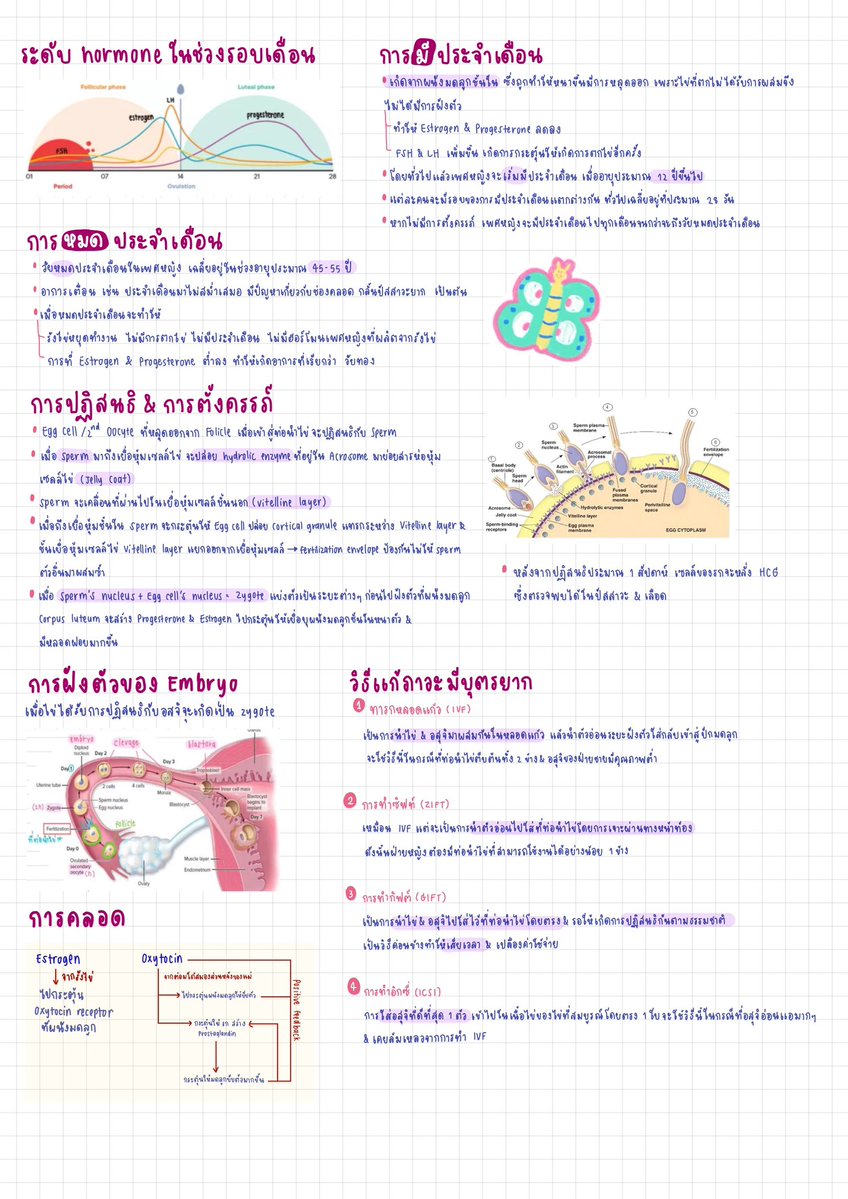 mu ๋ รับลอกงาน tweet media