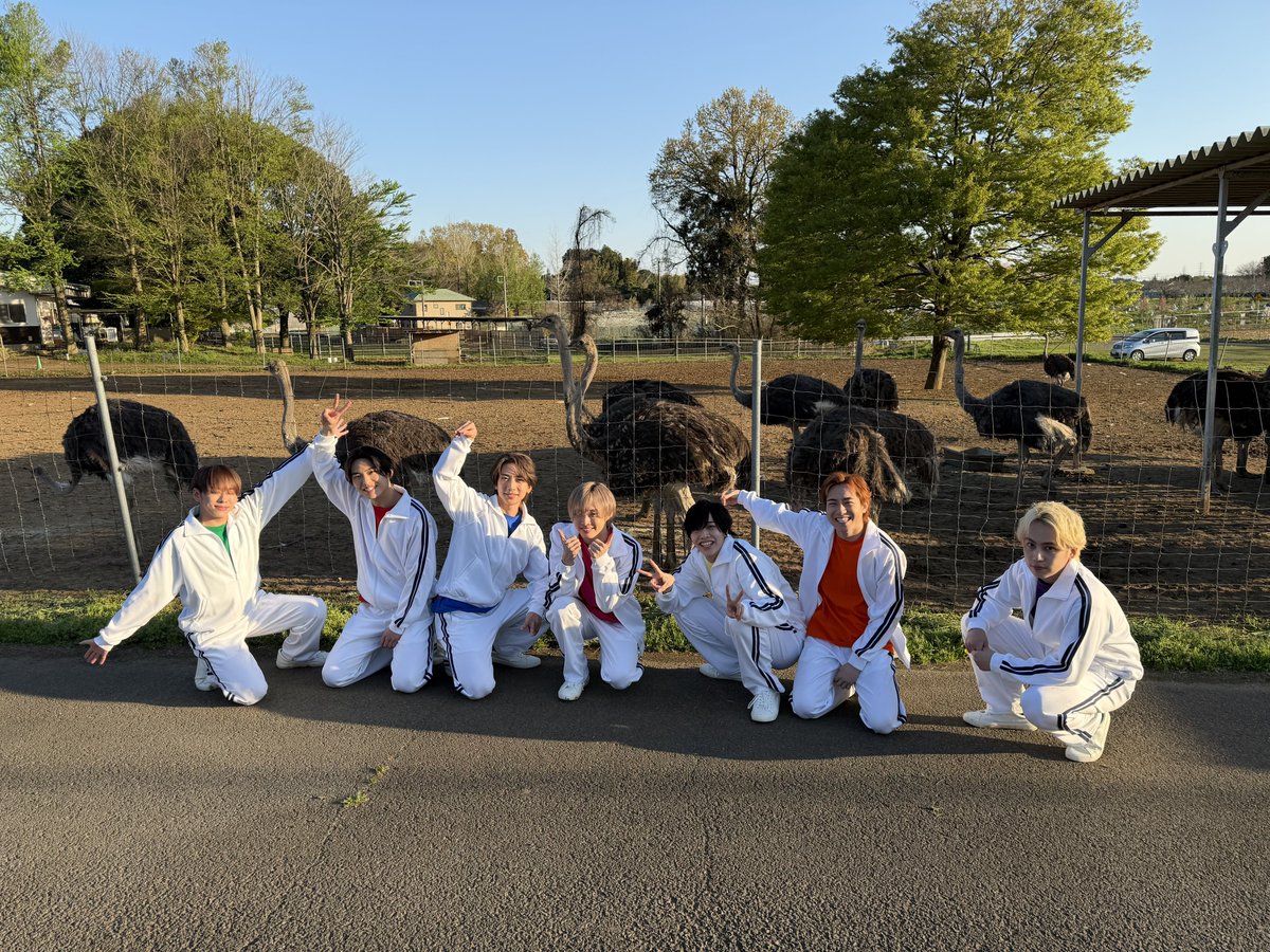 IMP. OFFICIAL tweet media