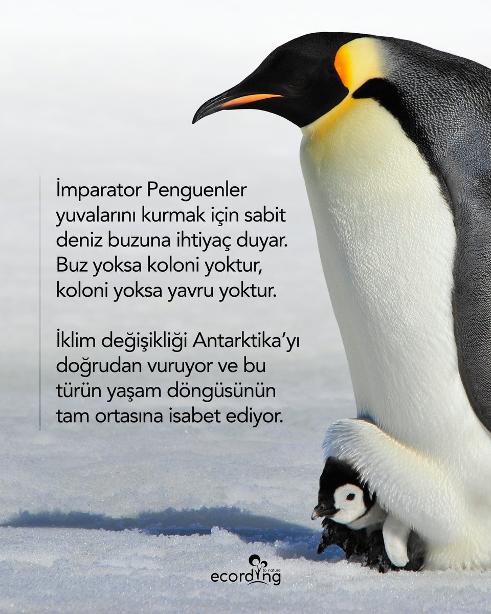 ecording | B Corp™ tweet media