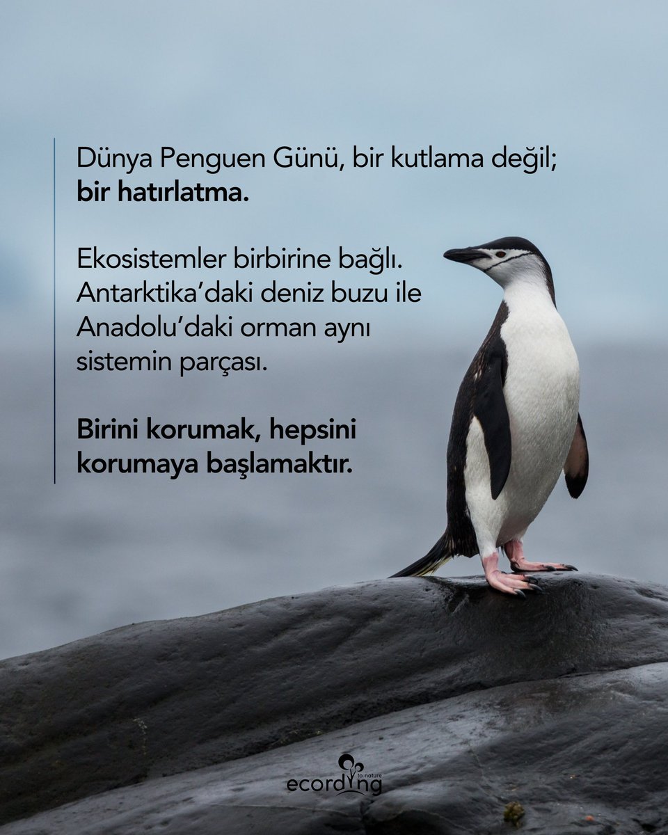 ecording | B Corp™ tweet media