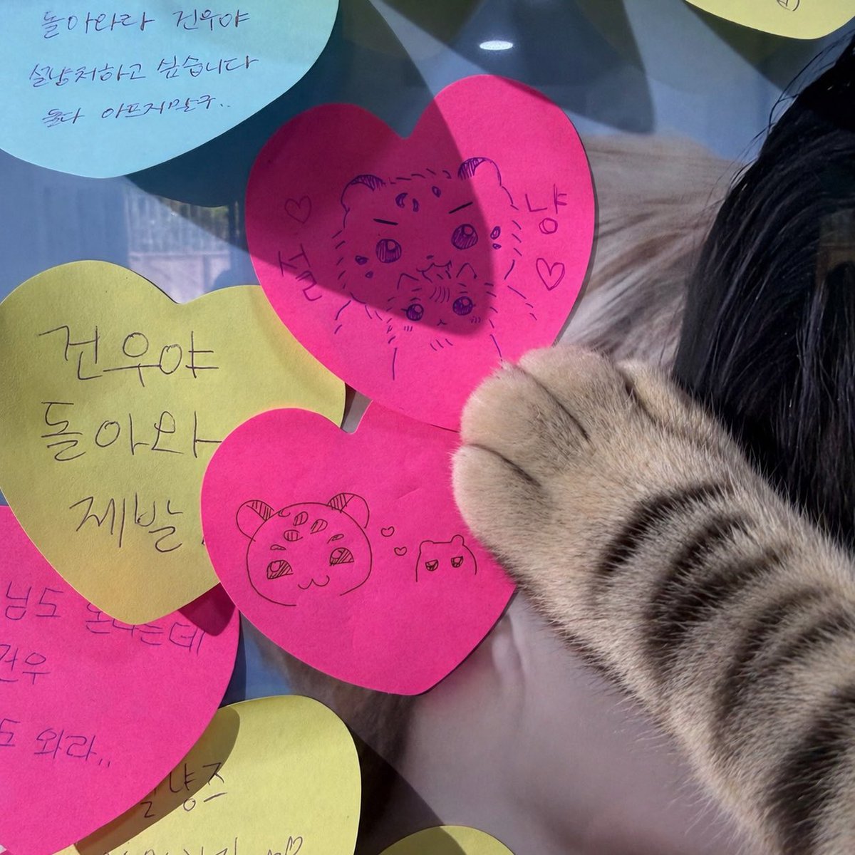 너무 행복했듬 ^.^
#247AsOne_geonwon