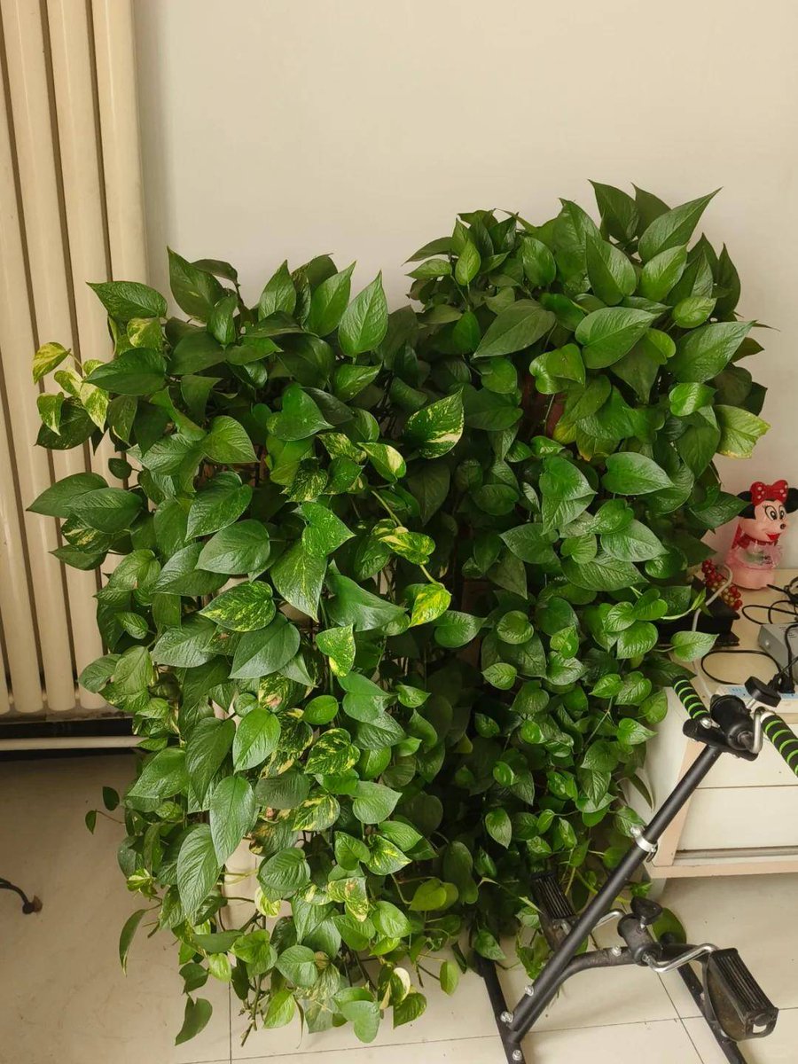 Tim Duit tweet media