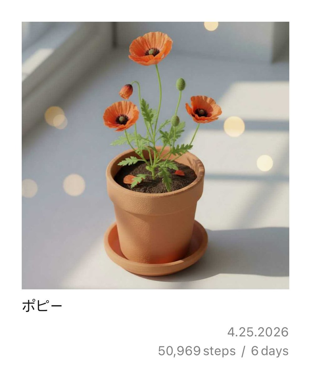 こさの🎨🦈 tweet media