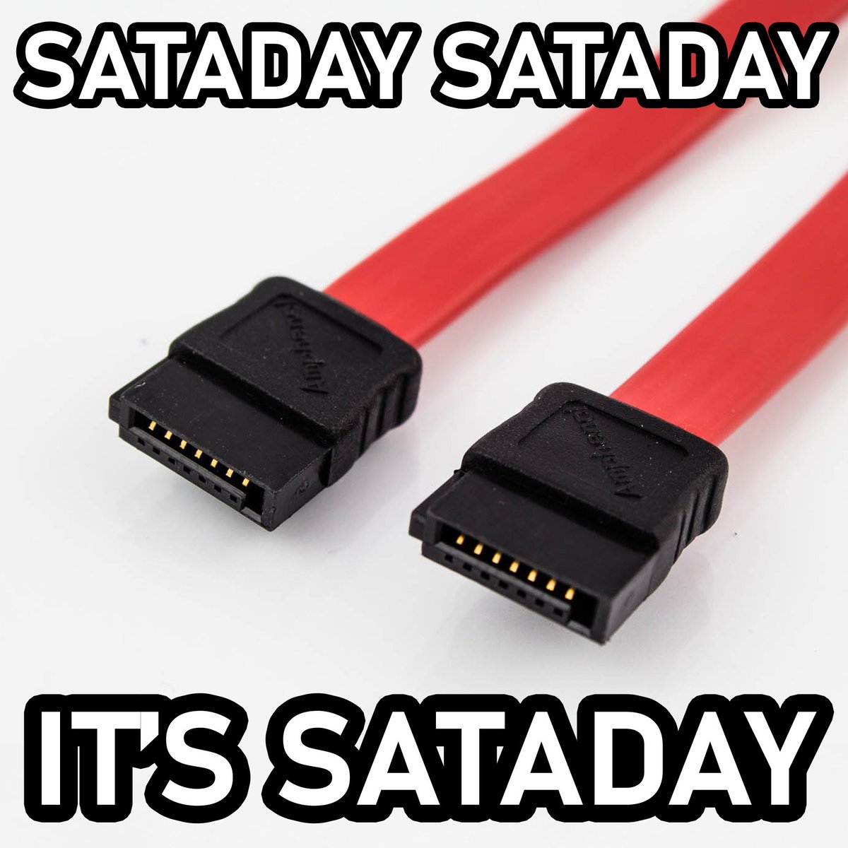 miss ashley f. stackinger 🏳️‍⚧️🇦🇹 tweet media