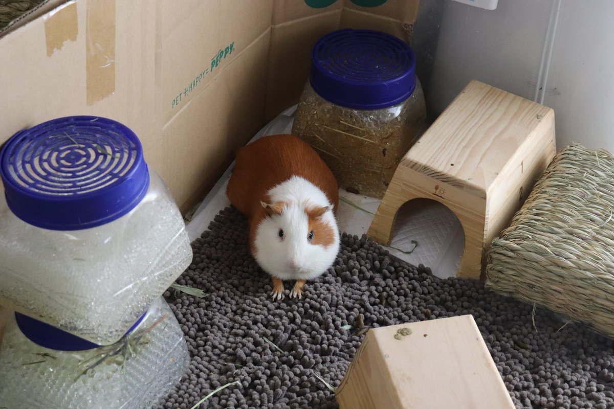 ゆうき tweet media