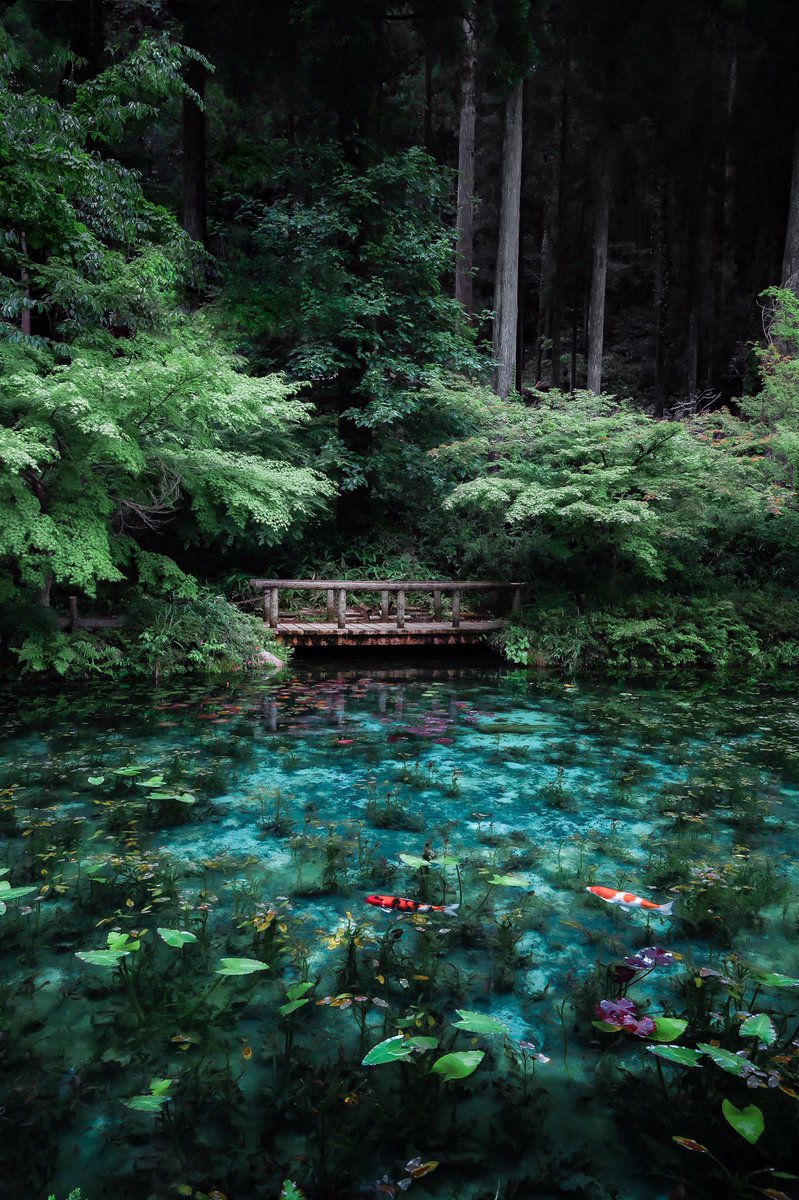 まちゅばら/ Hiroki Matsubara tweet media