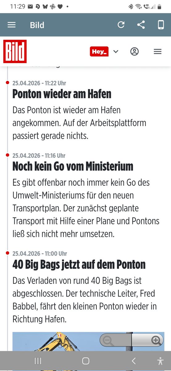 Thyra Maris 🙋🏻‍♀️✍️🕊️📚 tweet media