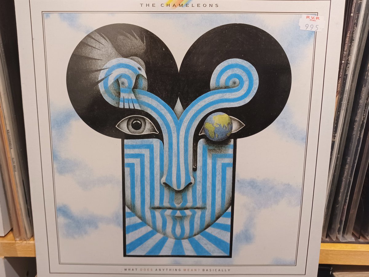 philippe_buil's tweet image. #AlbumsThatShapedYourLifeExtraTime 
#TheChameleons #NowPlaying #vinylrecords #WhatDoesAnythingMeanBasically #NowSpinning #vinyl #newwave #Rock #music #AlbumsYouMustHear #rockmusic
@Arbouse_records 
@LazyStardust5 
@lee0969 @FatOldAnarchist