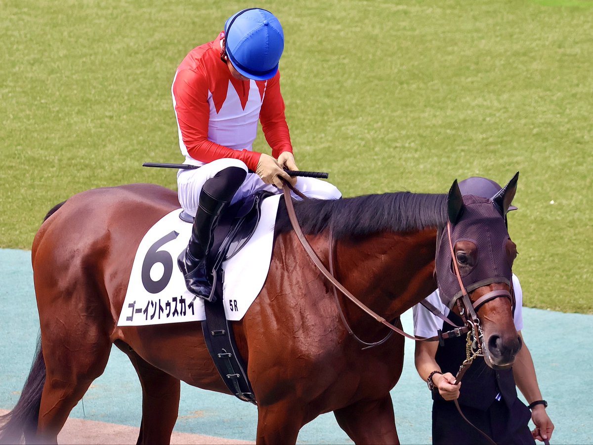 オールナイト【馬券を買いたい】 tweet media