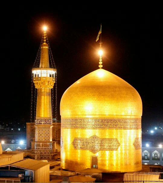 سحر رضایی tweet media