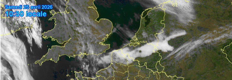 Hugo Mathues tweet media