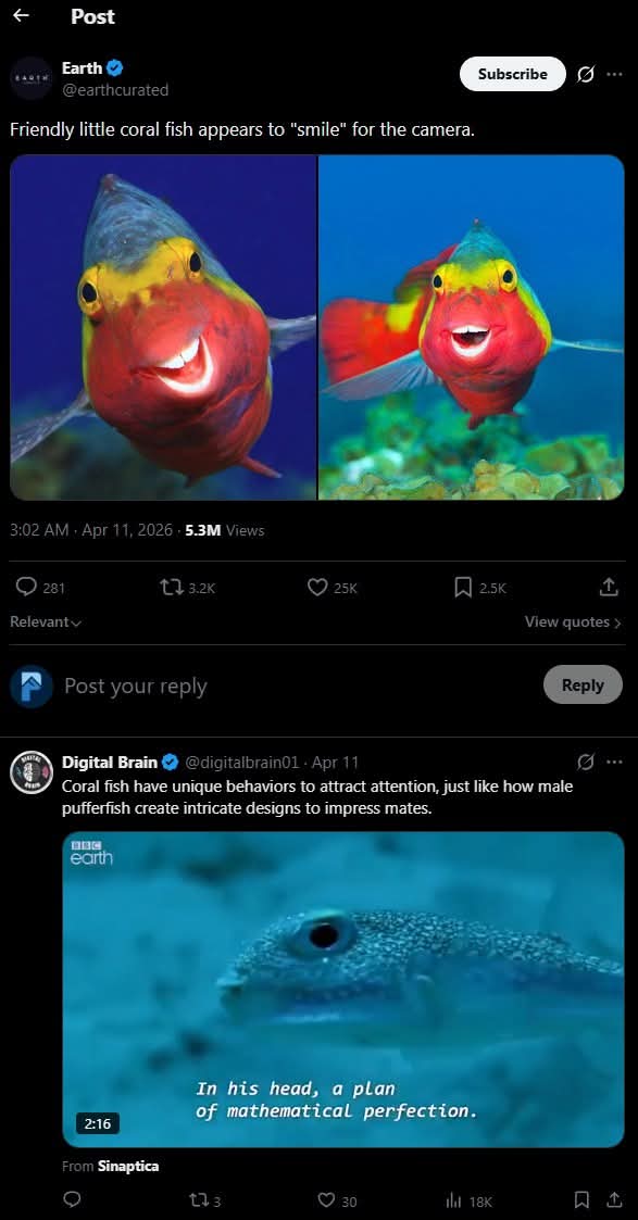 Moko tweet media