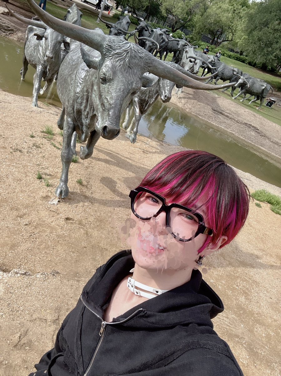 🐃🐃🐃🐃🐃🐃🐃🐃✨✨