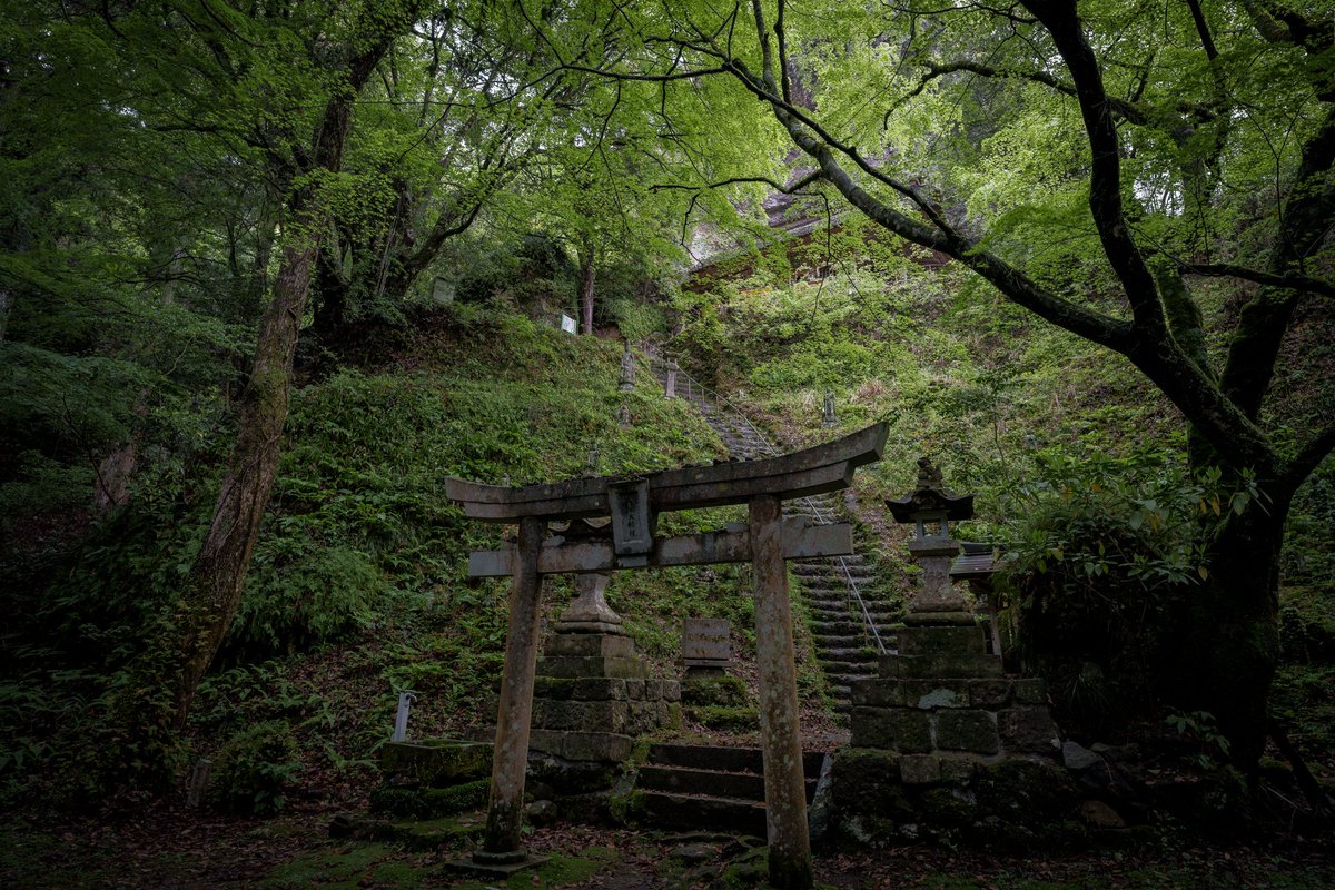 瓜生⛩️ tweet media