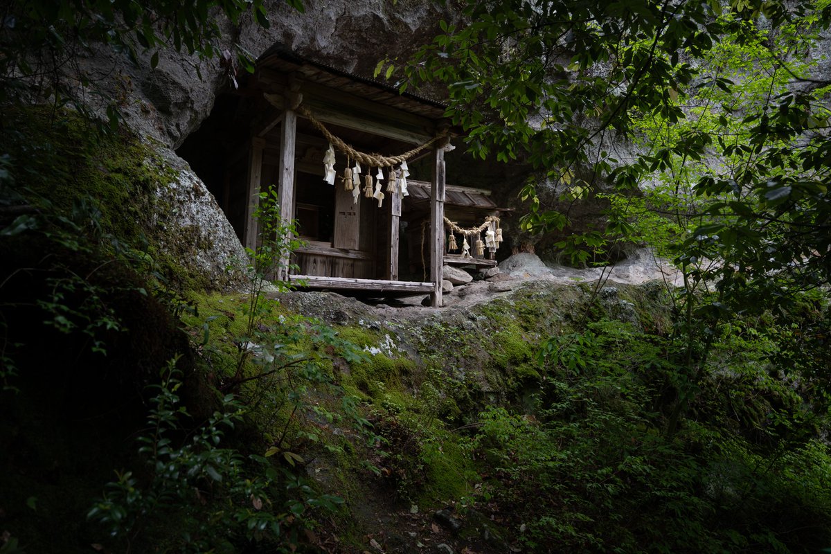 瓜生⛩️ tweet media