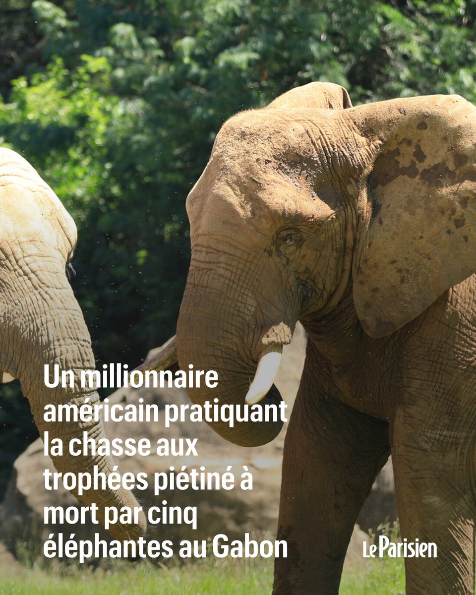 Amanda 🇫🇷 tweet media