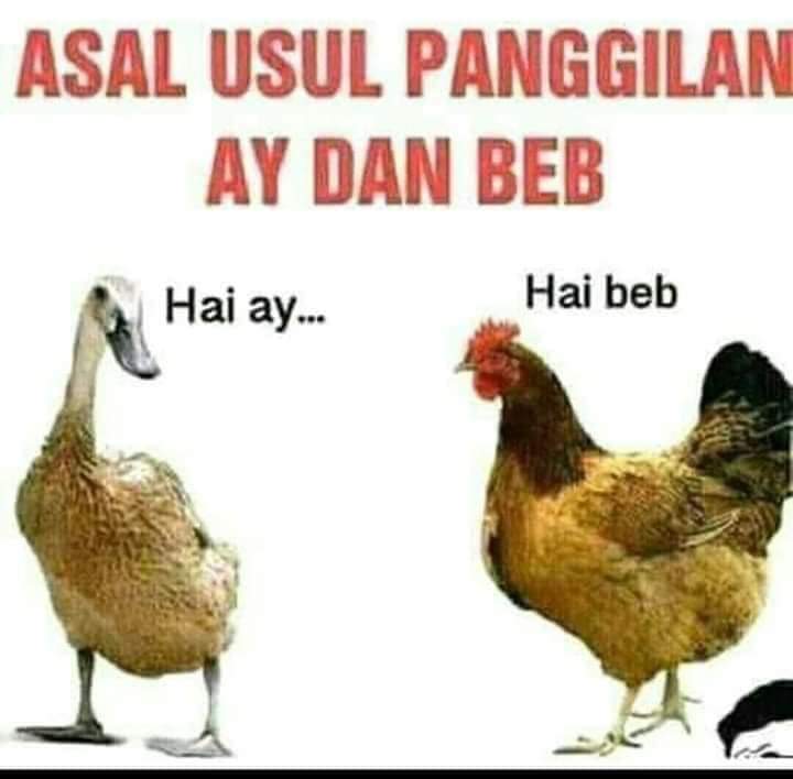 Ricky Kardjono 🇮🇩 tweet media