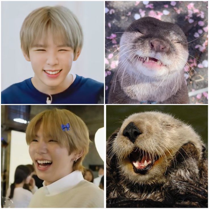 จสต⭐ tweet media