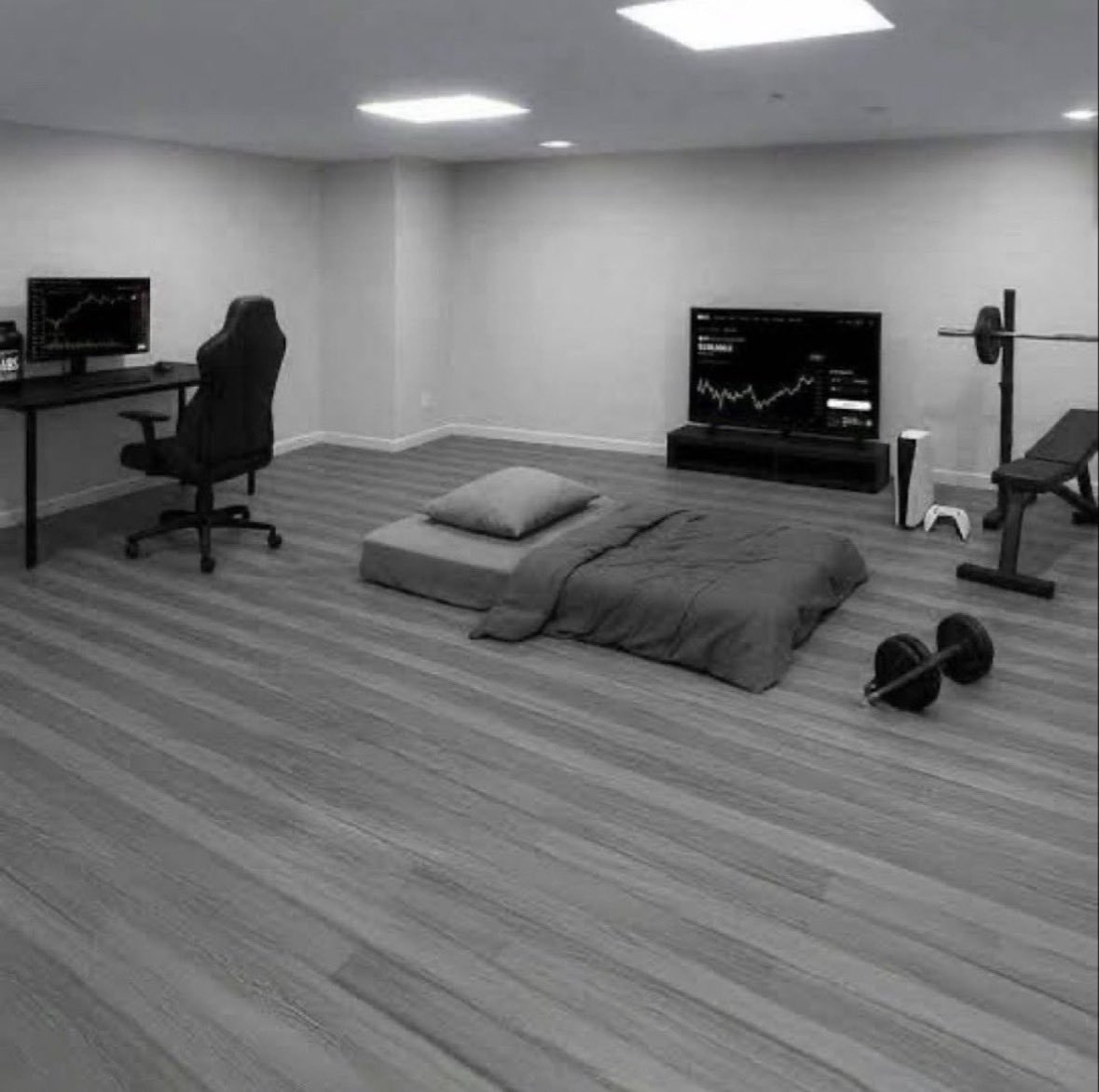 Oxshadow tweet media