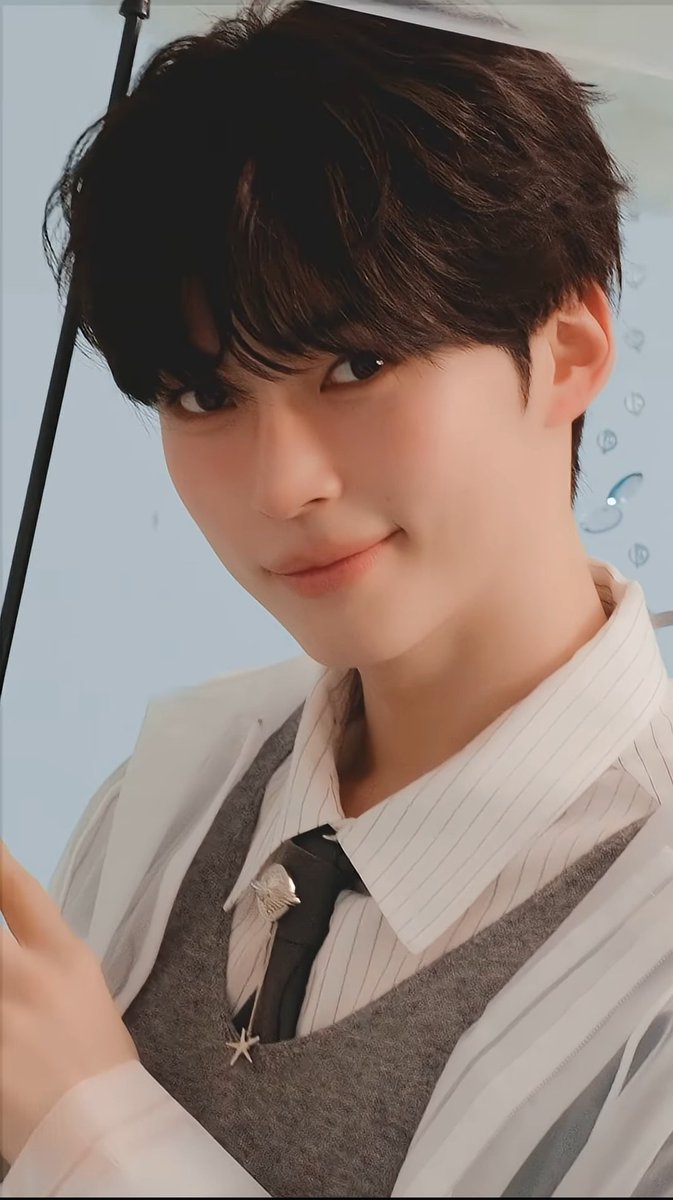 ✧˚ tweet media
