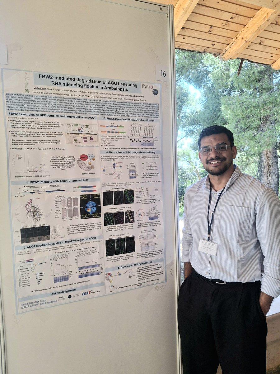 Vish_varsh's tweet photo. Recently attended the @Recrop22157 Next Gen Meeting in Chania 🇬🇷—grateful to receive a travel grant! Presented my work (Talk + Poster) and had some great scientific discussions. Truly a wonderful experience connecting with the plant science community community 🌱⚡ https://t.co/2l8PRtERIG