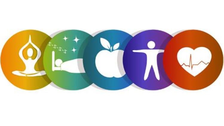 comidoc's tweet image. Holistic Health, Happiness &amp;amp; Emotional Well-Being Course

⏱️ 6.2 hours
⭐ 4.45
👥 7,341
🔄 Oct 2024
💰 $17.99 → 100% OFF

comidoc.com/udemy/holistic…

#HolisticHealth #EmotionalWellness #InnerPeace #udemy