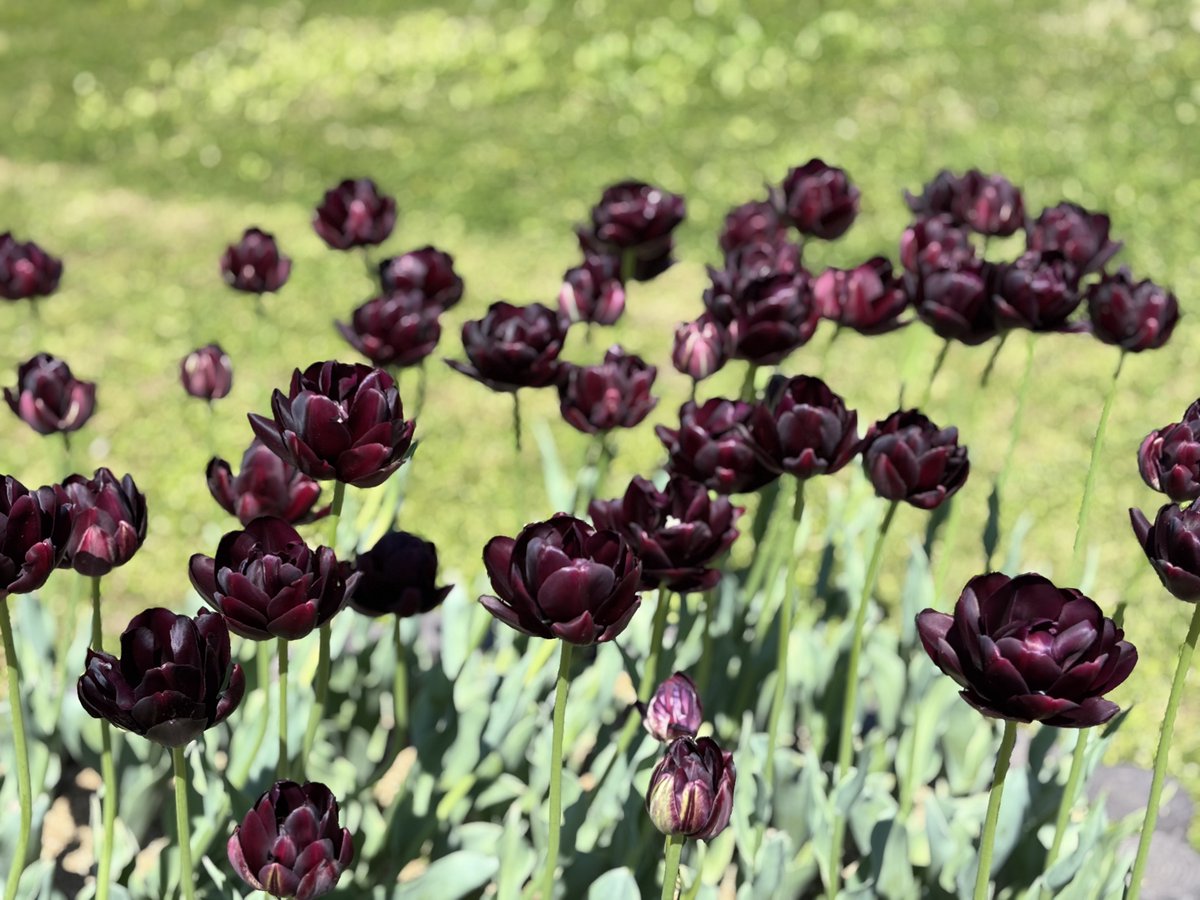 コイデ ヨシロウ tweet media