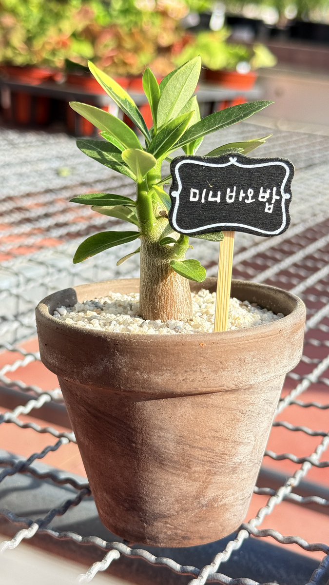 현재에 충실한 만화가 원현재 tweet media
