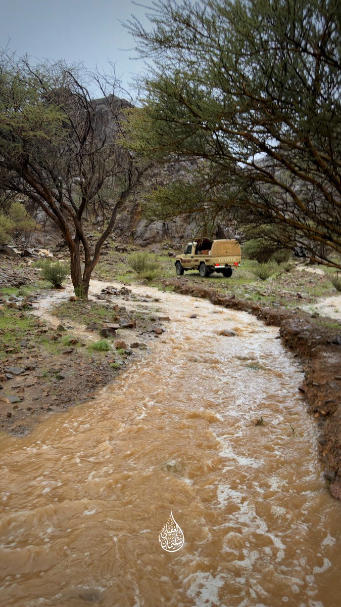 Suliman9533's tweet photo. من سيول جبال شعباء ⛰️☔️ 
جنوب غرب منطقة القصيم
مساء الجمعة 7 / 11 / 1447هـ https://t.co/byMfWoR32y
