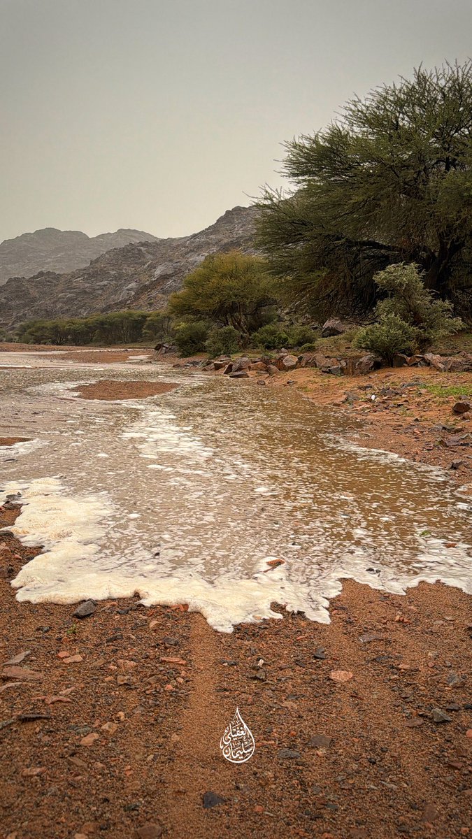 Suliman9533's tweet photo. من سيول جبال شعباء ⛰️☔️ 
جنوب غرب منطقة القصيم
مساء الجمعة 7 / 11 / 1447هـ https://t.co/byMfWoR32y