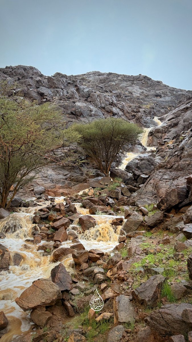 Suliman9533's tweet photo. من سيول جبال شعباء ⛰️☔️ 
جنوب غرب منطقة القصيم
مساء الجمعة 7 / 11 / 1447هـ https://t.co/byMfWoR32y