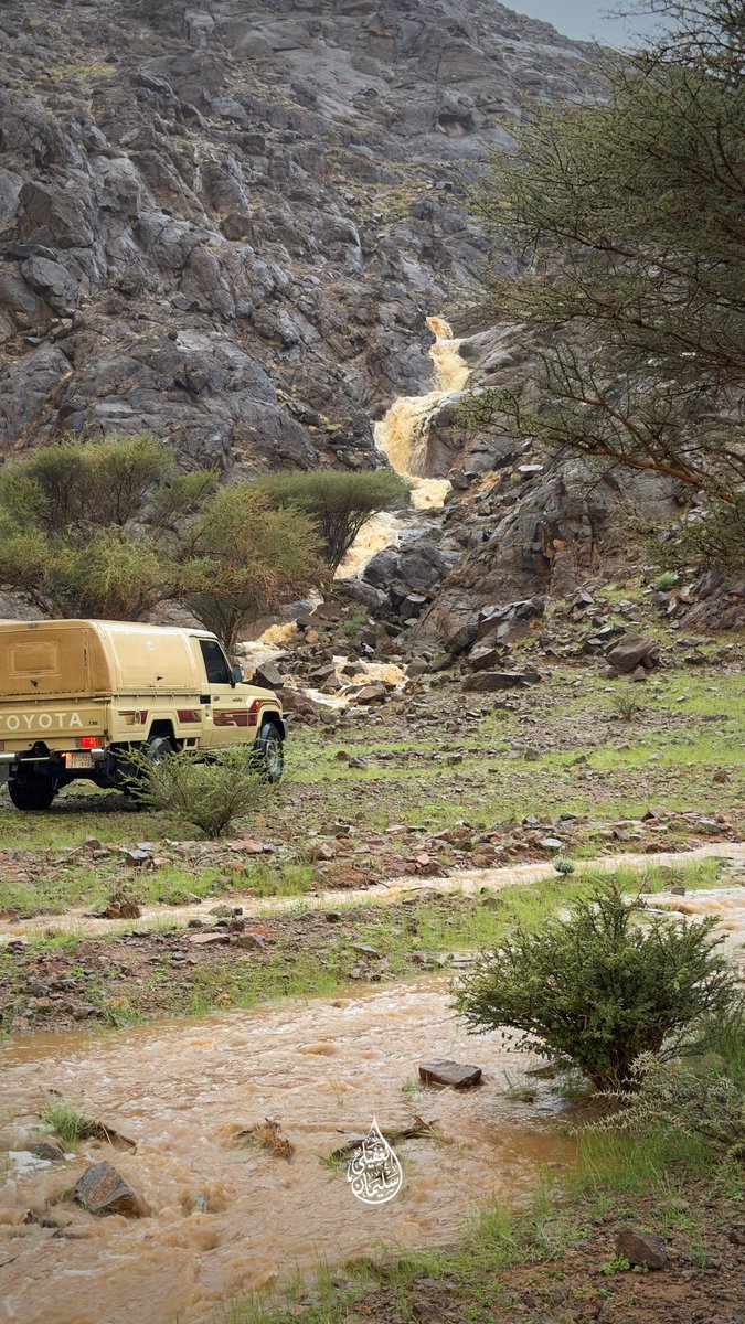 Suliman9533's tweet photo. من سيول جبال شعباء ⛰️☔️ 
جنوب غرب منطقة القصيم
مساء الجمعة 7 / 11 / 1447هـ https://t.co/byMfWoR32y