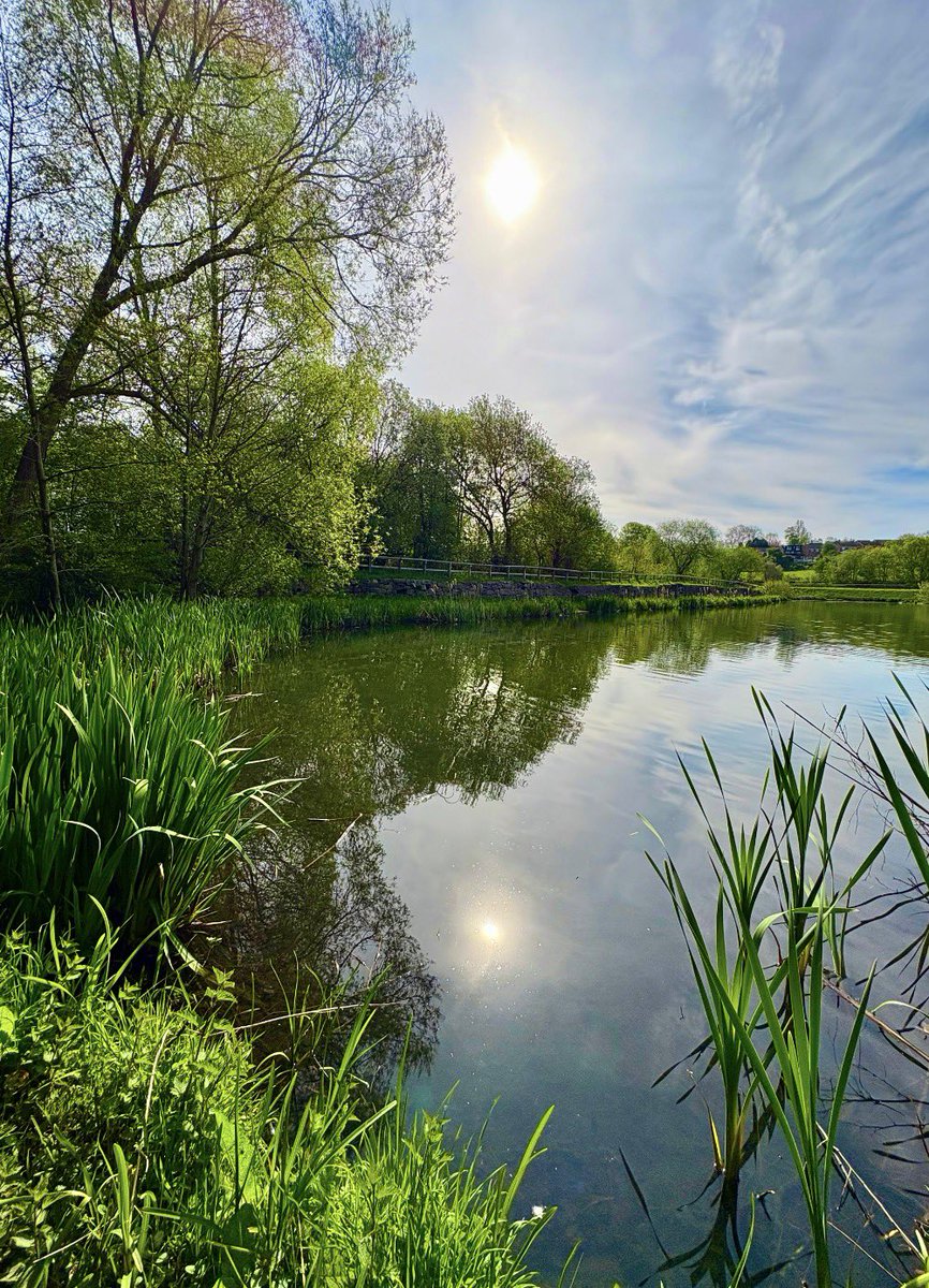 TheKateEscapes's tweet photo. Spring Vitality

#Spring
#Reflections
#Nature 
#Landscape https://t.co/hARnTyF36Y