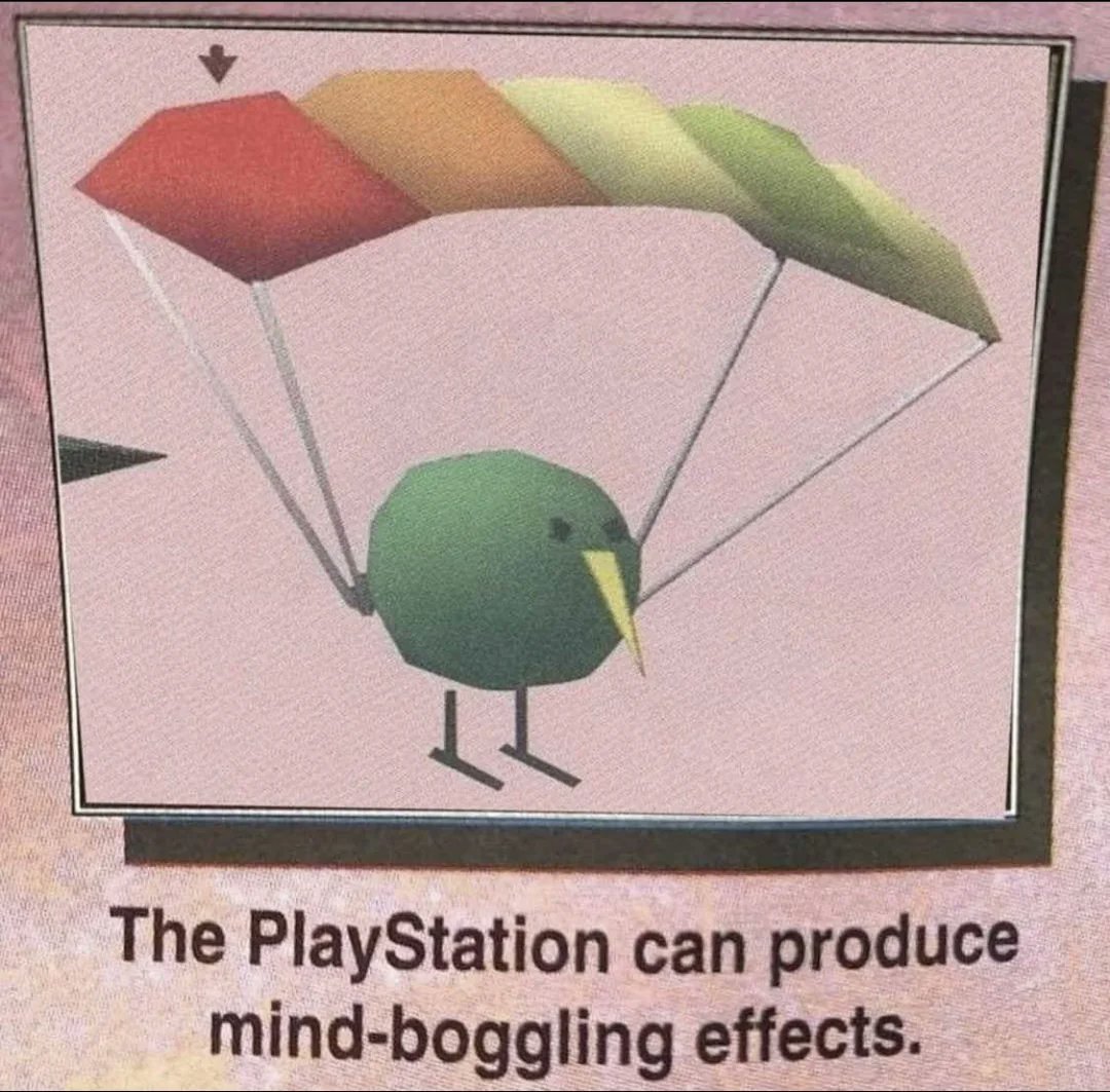 this paragliding kiwi