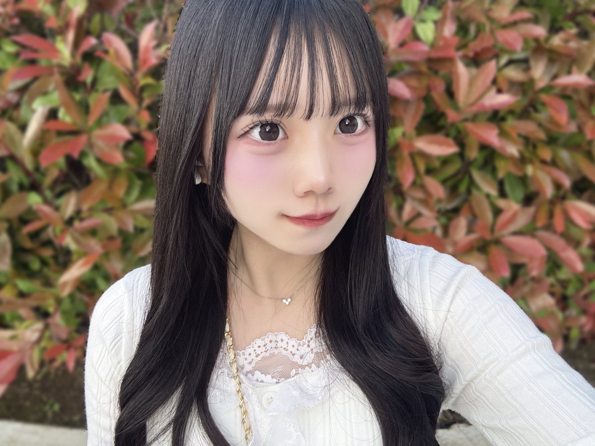 ぬい♡5/10卒業 tweet media
