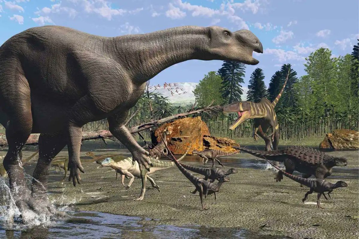 FundaciónDinosaurios tweet media