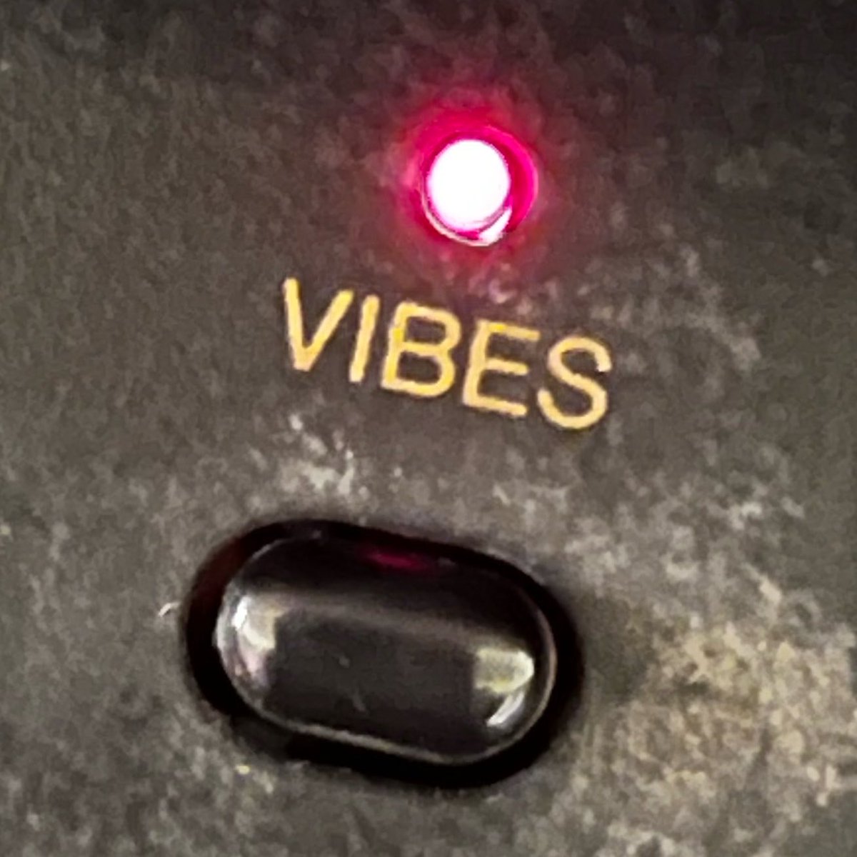 Gavin Morrice tweet media