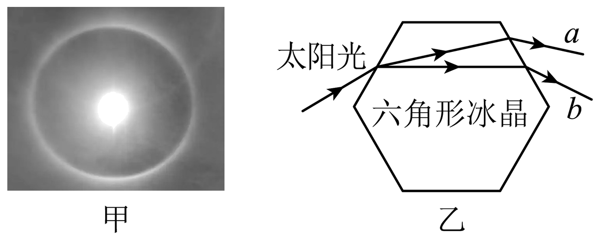 Antonieta tweet media